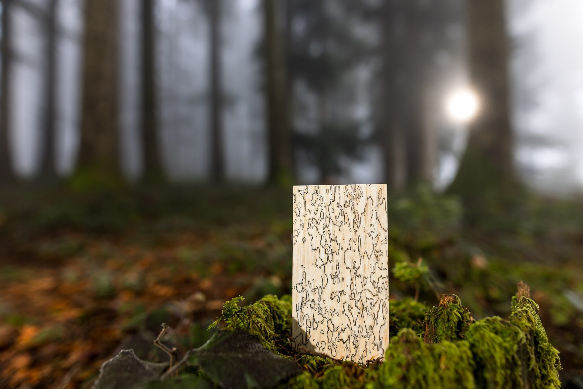 Myrai – Kreationen aus Schweizer Holz
